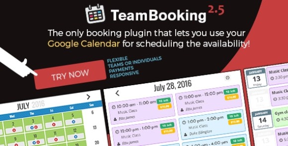 Team Booking WordPress Booking System Plugin