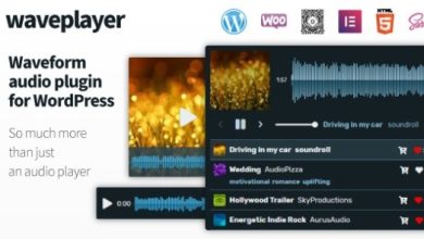 WavePlayer Waveform Audio Player for WordPress and WooCommerce Plugin