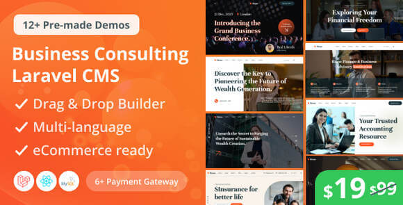 Bione Business Consulting Laravel CMS with Live Page Builder Script
